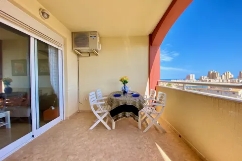 Butas Torrevieja, miniatiūra 11
