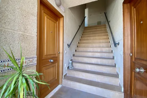Butas Torrevieja, miniatiūra 6