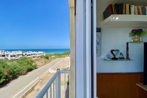 Butas Torrevieja, miniatiūra 14