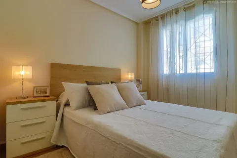 Kotedžas Torrevieja, miniatiūra 11