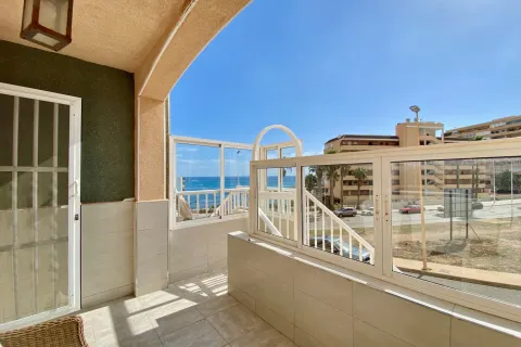 Kotedžas Torrevieja, miniatiūra 10