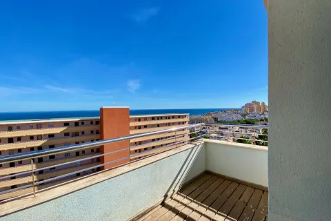Butas Torrevieja, miniatiūra 3