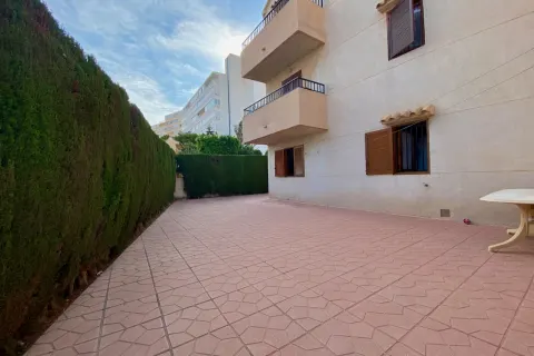 Butas Torrevieja, miniatiūra 9