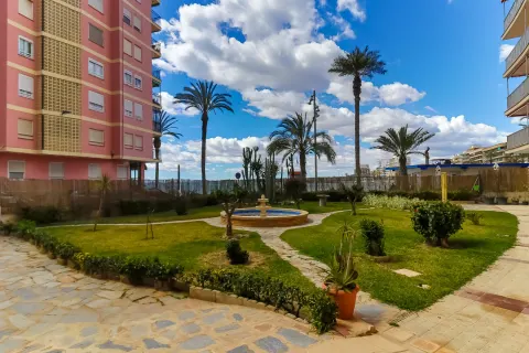 Butas Torrevieja, miniatiūra 5