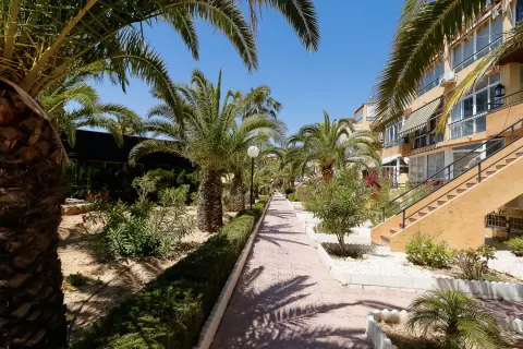 Butas Torrevieja, miniatiūra 14