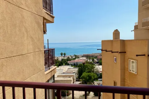 Dzīvoklis Torrevieja, sīktēls 7