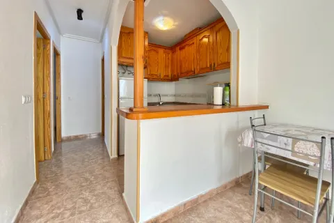 Butas Torrevieja, miniatiūra 11