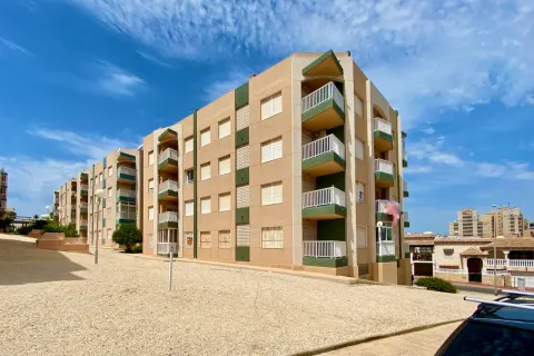 Dzīvoklis Torrevieja, sīktēls 5