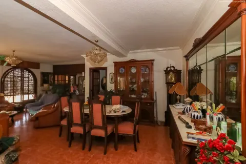 Villa Torrevieja, sīktēls 13