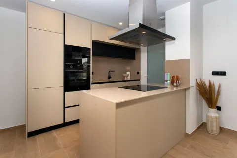 Apartament Algorfa, miniatura 12