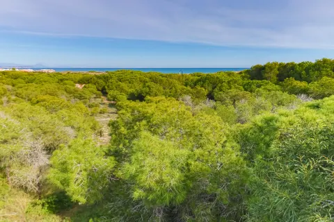 Dzīvoklis Torrevieja, sīktēls 11