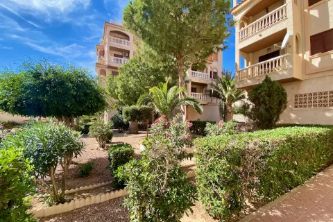 Butas Torrevieja, miniatiūra 8