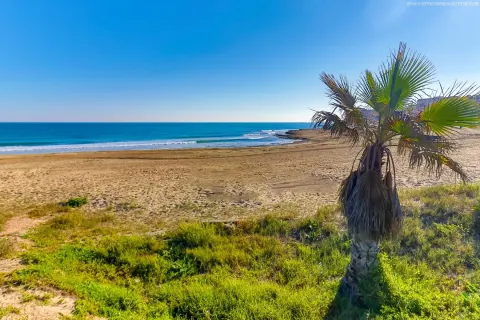 Butas Torrevieja, miniatiūra 7