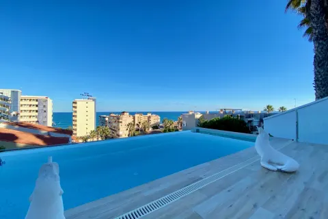 Villa Torrevieja, sīktēls 12