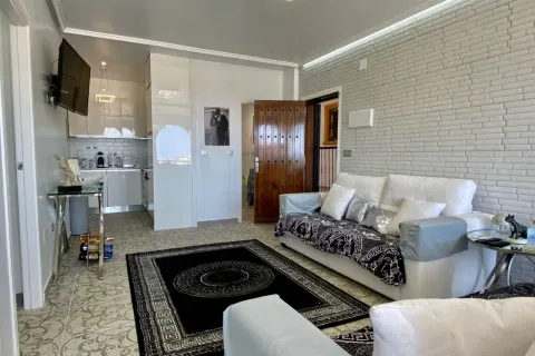 Dzīvoklis Torrevieja, sīktēls 14