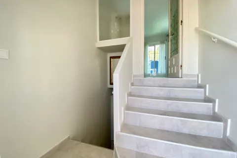 Villa Torrevieja, sīktēls 15