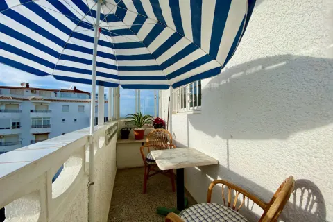 Butas Torrevieja, miniatiūra 4