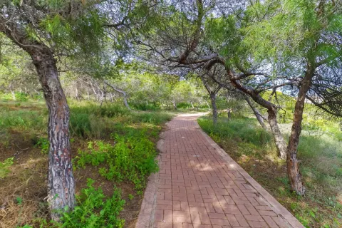 Dzīvoklis Torrevieja, sīktēls 12
