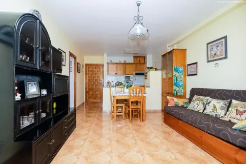 Butas Torrevieja, miniatiūra 8