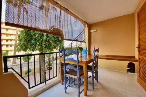 Butas Torrevieja, miniatiūra 12