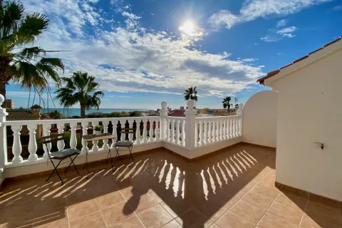 Villa Torrevieja, sīktēls 11