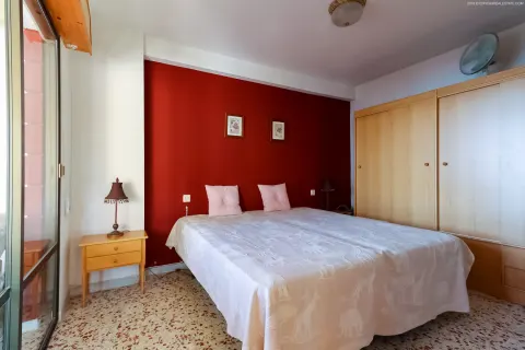Butas Torrevieja, miniatiūra 4