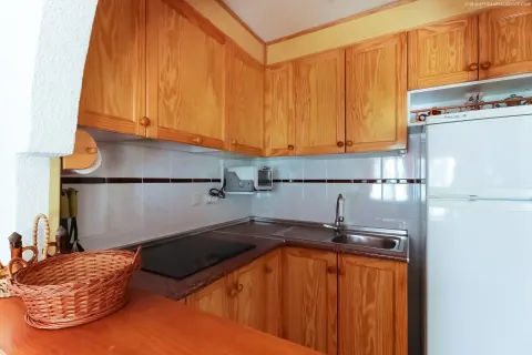 Kotedžas Torrevieja, miniatiūra 12