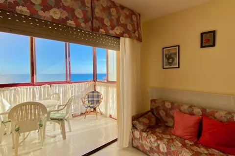 Butas Torrevieja, miniatiūra 6