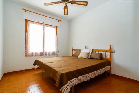 Kotedžas Torrevieja, miniatiūra 12