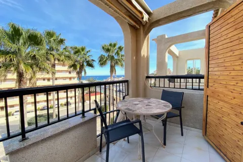 Butas Torrevieja, miniatiūra 2