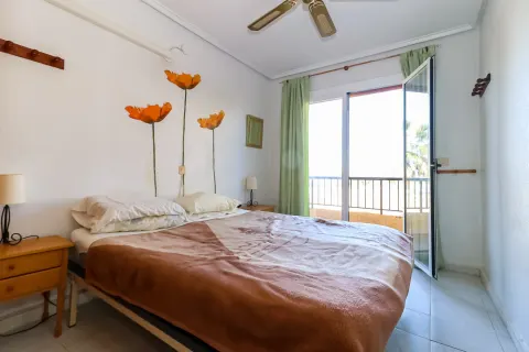 Butas Torrevieja, miniatiūra 5