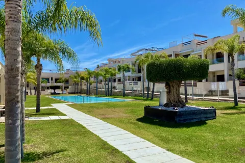 Butas Torrevieja, miniatiūra 5