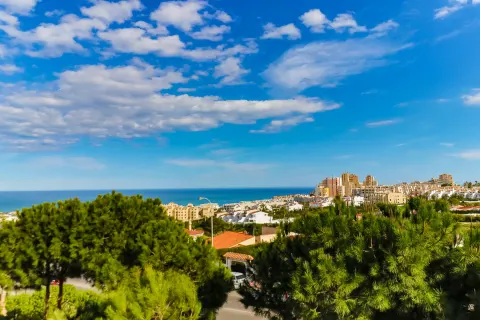 Butas Torrevieja, miniatiūra 14
