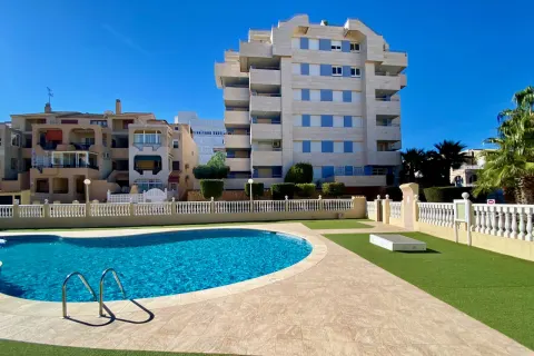 Butas Torrevieja, miniatiūra 9
