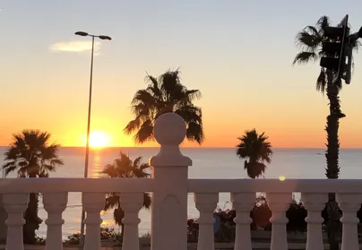 Vila Torrevieja, miniatiūra 13