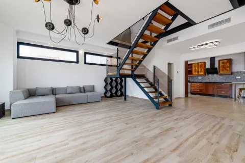 Vila Torrevieja, miniatiūra 4