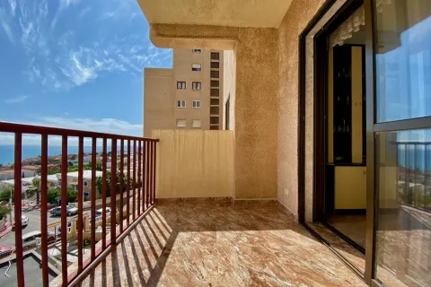 Butas Torrevieja, miniatiūra 7