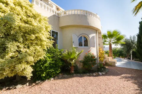 Villa Torrevieja, sīktēls 6