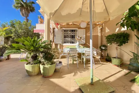 Vila Torrevieja, miniatiūra 11