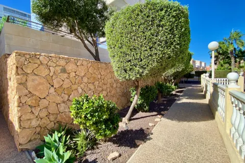 Kotedžas Torrevieja, miniatiūra 4