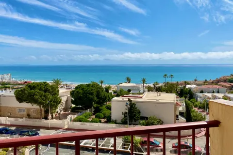 Butas Torrevieja, miniatiūra 14