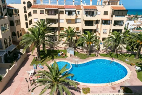 Butas Torrevieja, miniatiūra 13