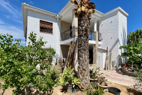 Villa Torrevieja, sīktēls 6