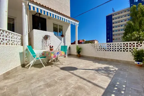 Butas Torrevieja, miniatiūra 8