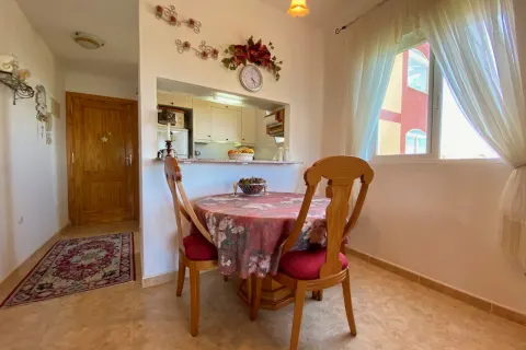 Butas Torrevieja, miniatiūra 14