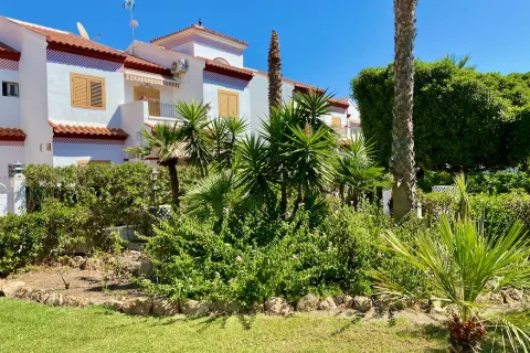 Butas Torrevieja, miniatiūra 2