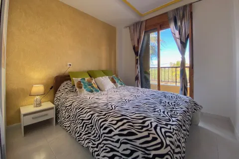 Dzīvoklis Torrevieja, sīktēls 6