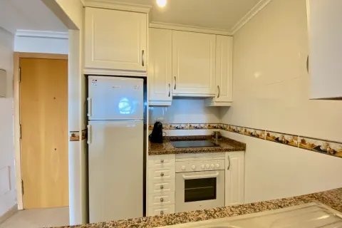 Butas Torrevieja, miniatiūra 14