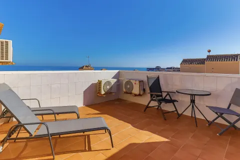 Kotedžas Torrevieja, miniatiūra 7