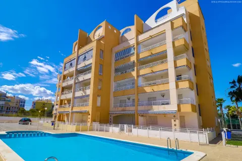 Butas Torrevieja, miniatiūra 1